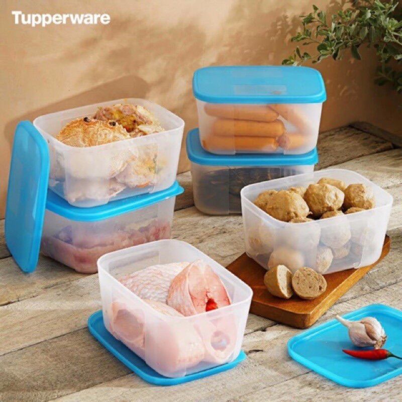 Bộ 2 hộp trữ đông 650ml Tupperware