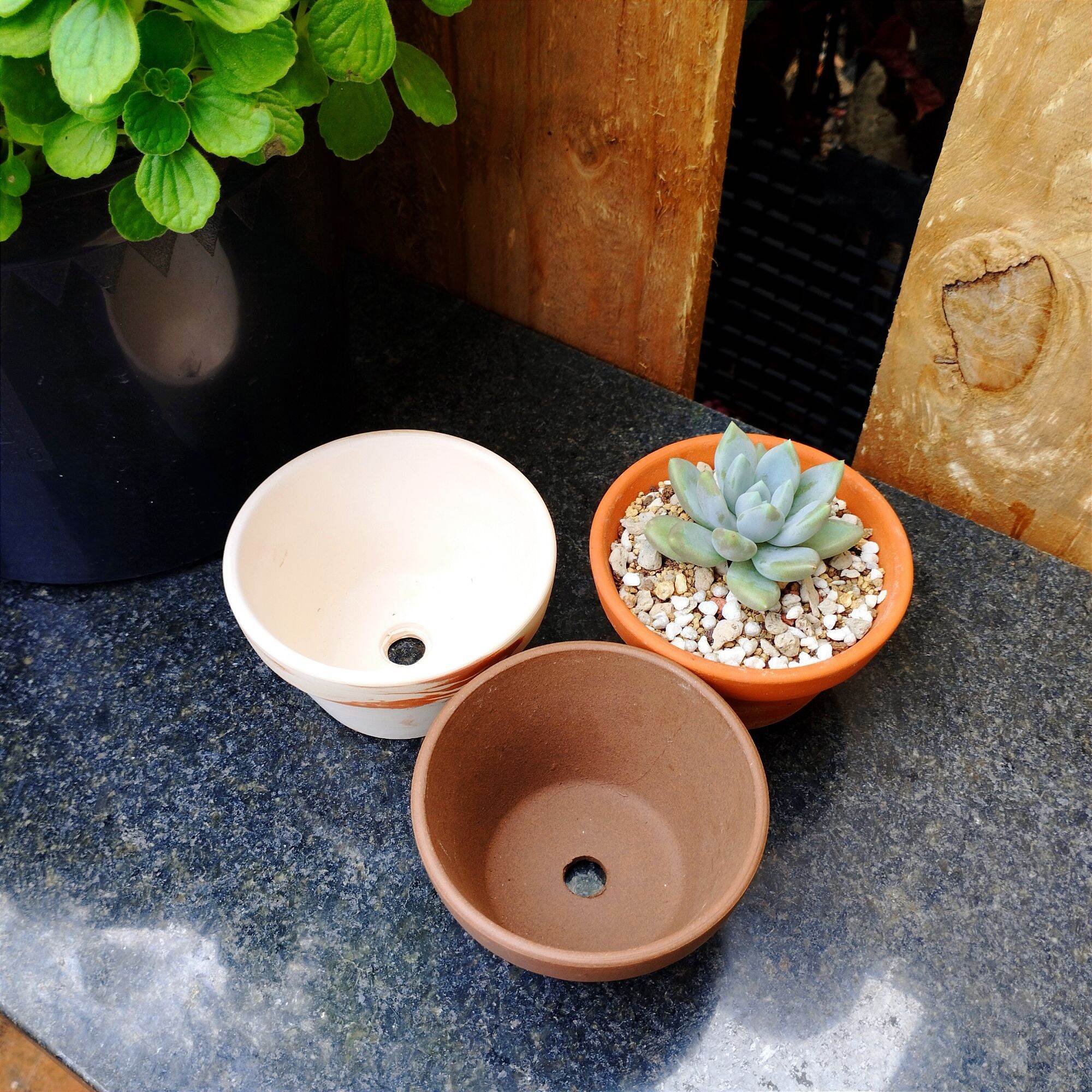 [Bao Bể Vỡ] Chậu Đất Nung Trồng Sen Đá Lùn 9x5Cm