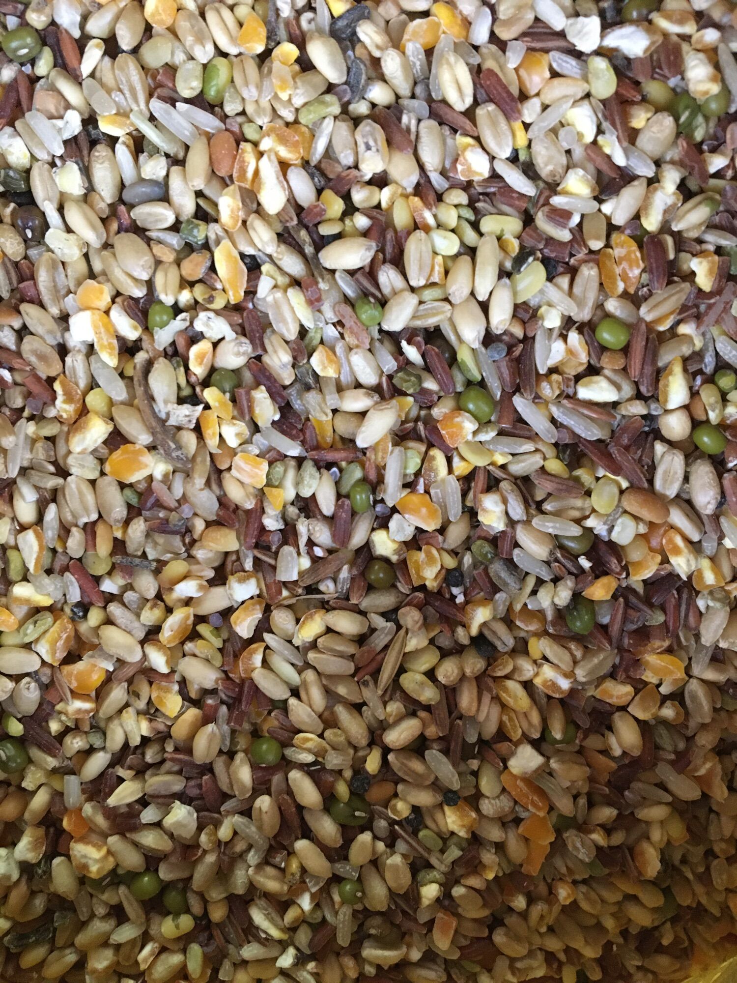Ngũ cốc gà đá 1kg
