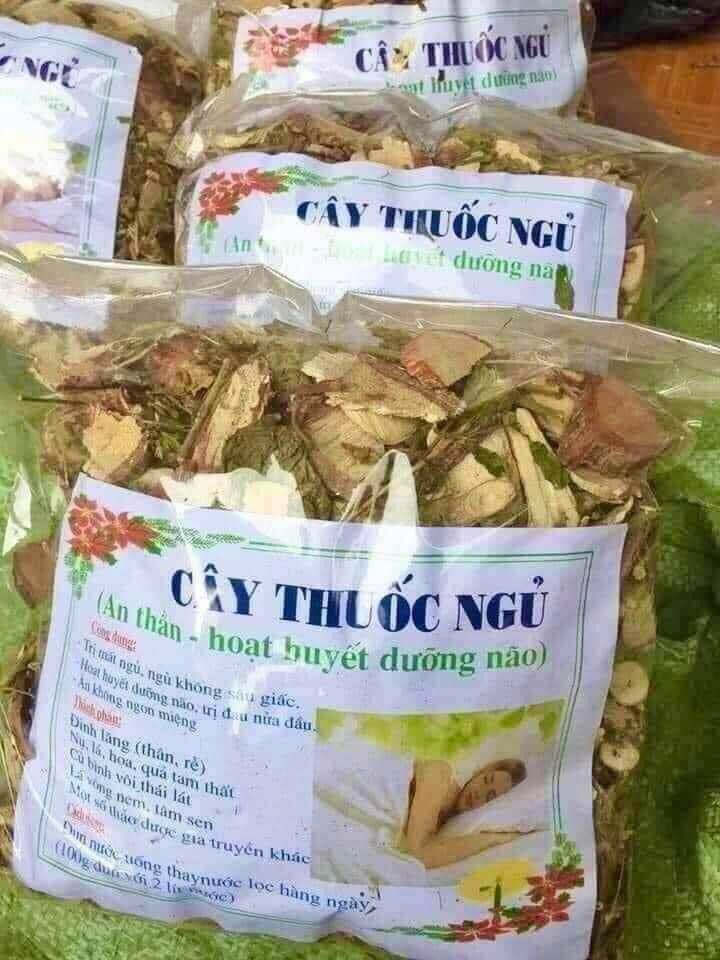 Cây thuốc ngủ