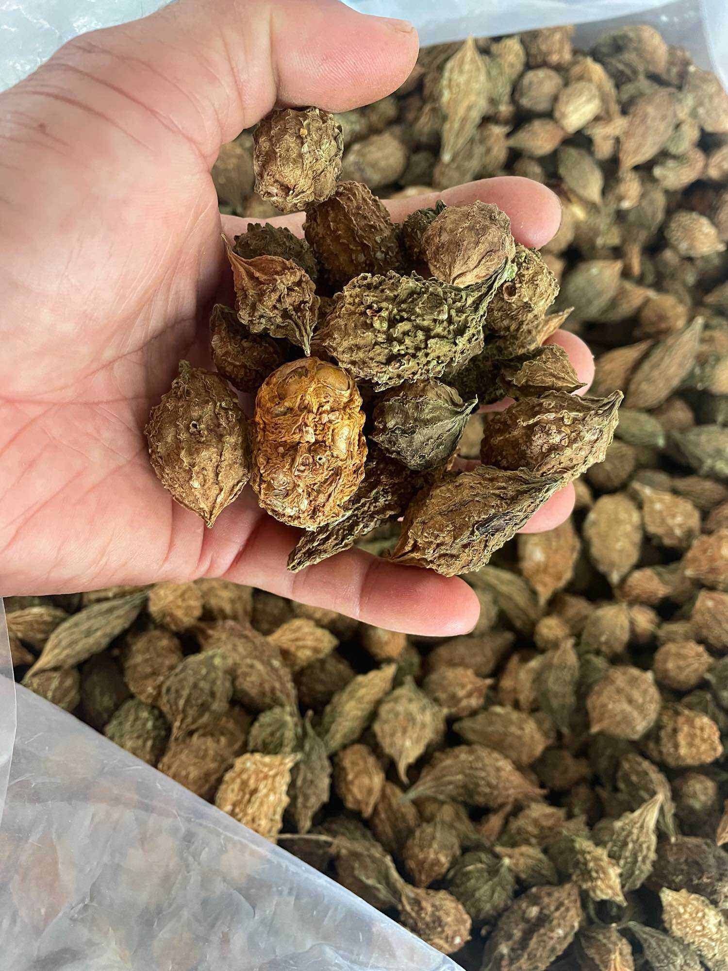 Mướp đắng rung sấy khô nguyên qua 500g