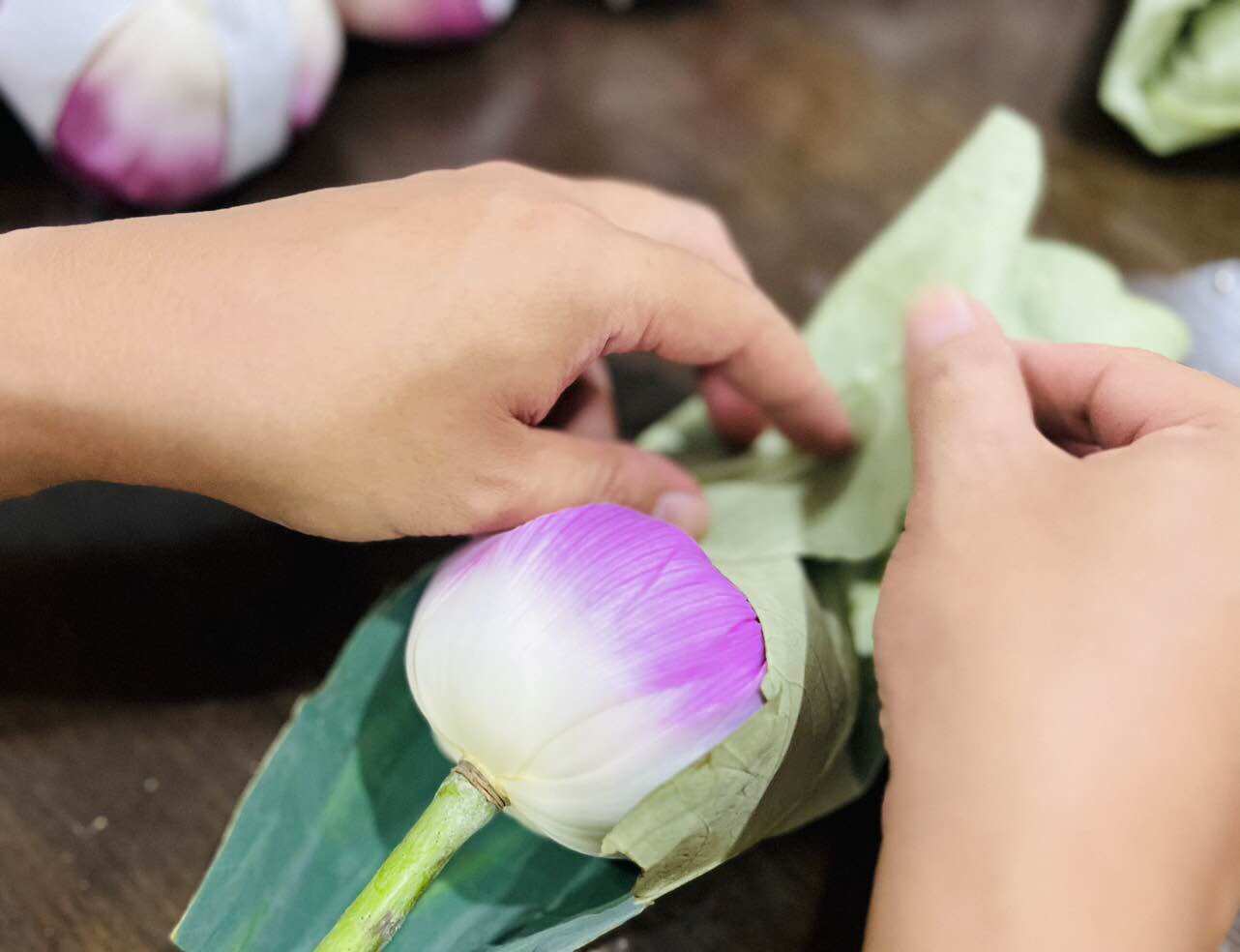 Combo Túi Quà Trà Búp Sen Hồ Tây (Túi 10 bông)