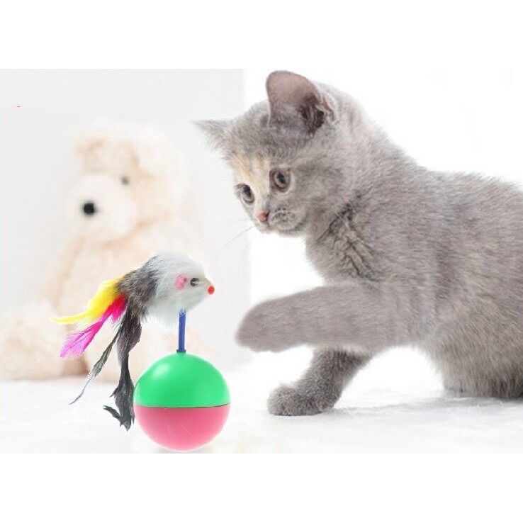 Đồ chơi chó mèo, đồ chơi con chuột cho mèo, chuột lật đật