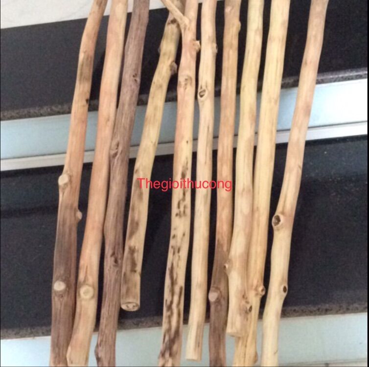 Cành gỗ tự nhiên làm macrame 20-130cm