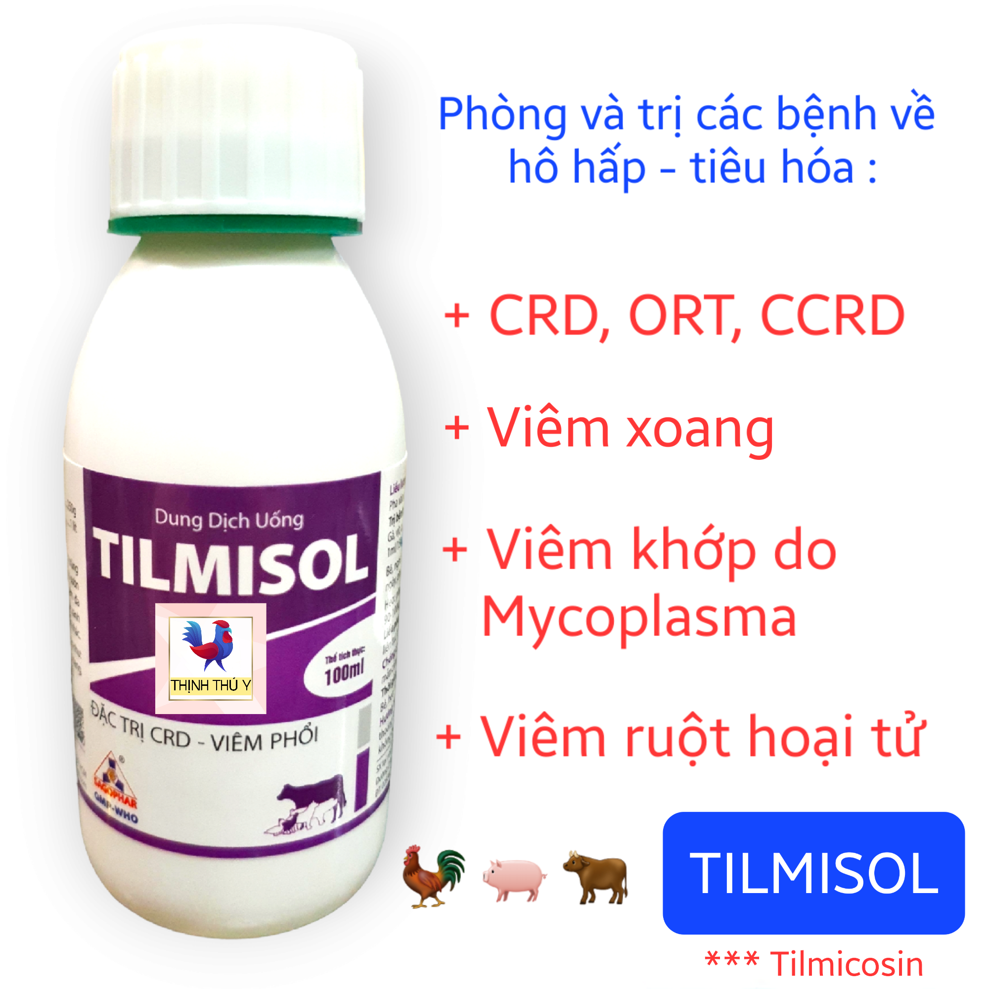 Tilmisol - phòng và trị bệnh hô hấp, tiêu hóa : crd, ort, viêm phổi, viêm khớp, viêm ruột hoại tử cho gà đá, heo, bò