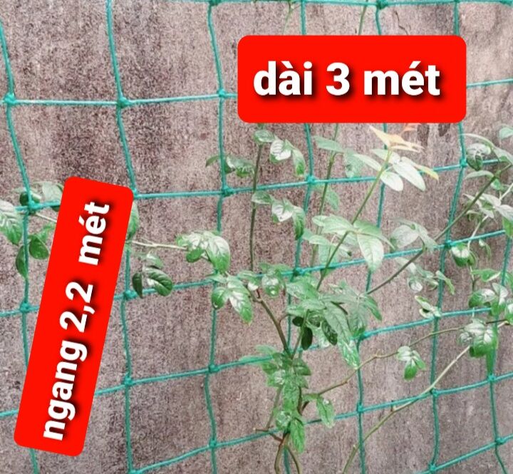 Lưới làm giàn cây leo 2,2 x 3 mét Lưới Thái siêu bền 3_5 năm