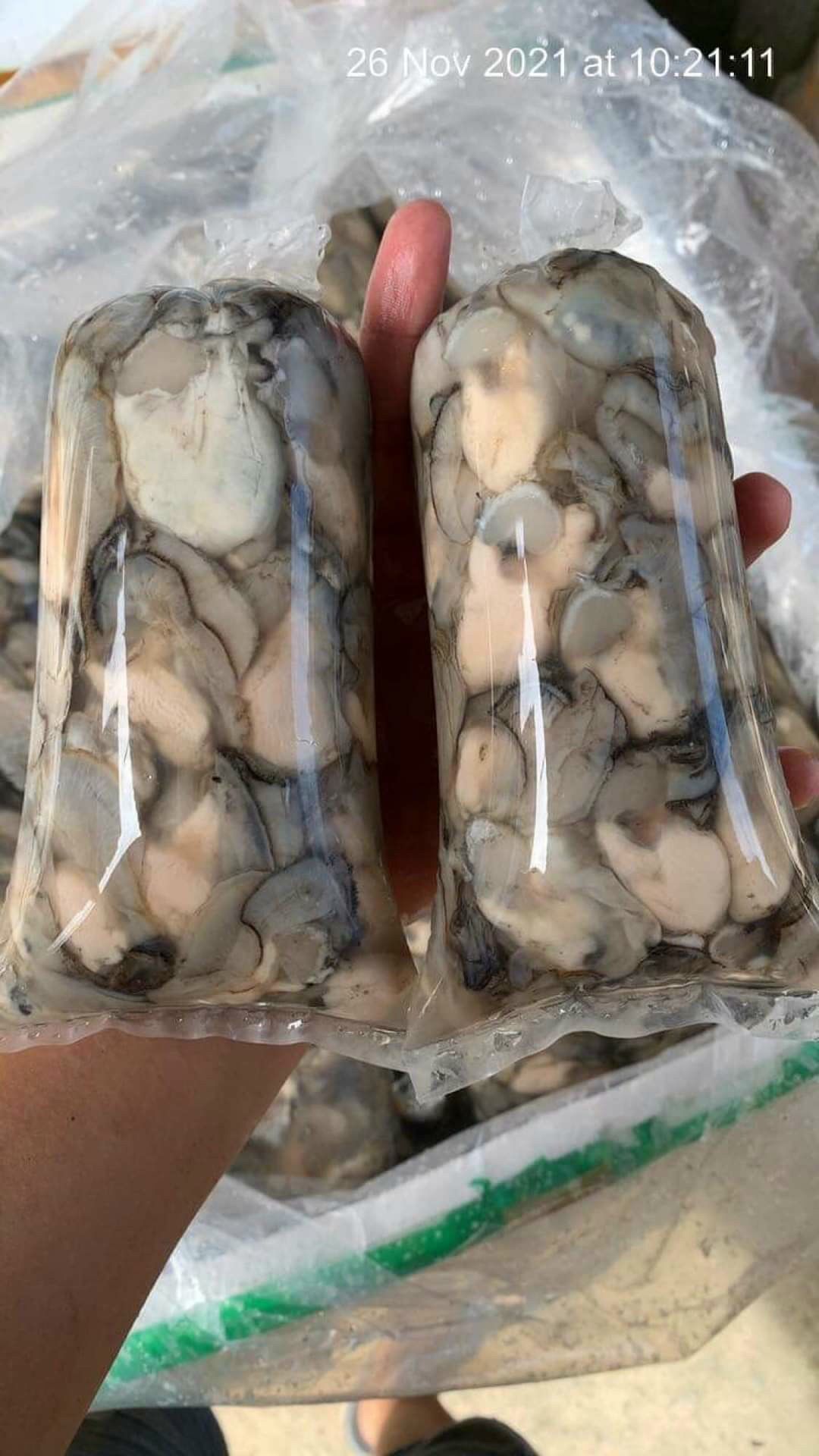 Hào sữa tách vỏ 500g (giao tphcm) đặt hoả tốc