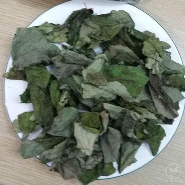 lá sương sâm khô