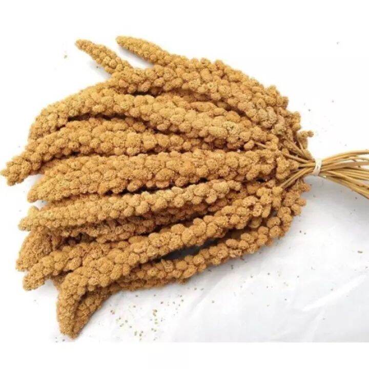 Kê chùm dành cho hamster,chim,vẹt. 100gram