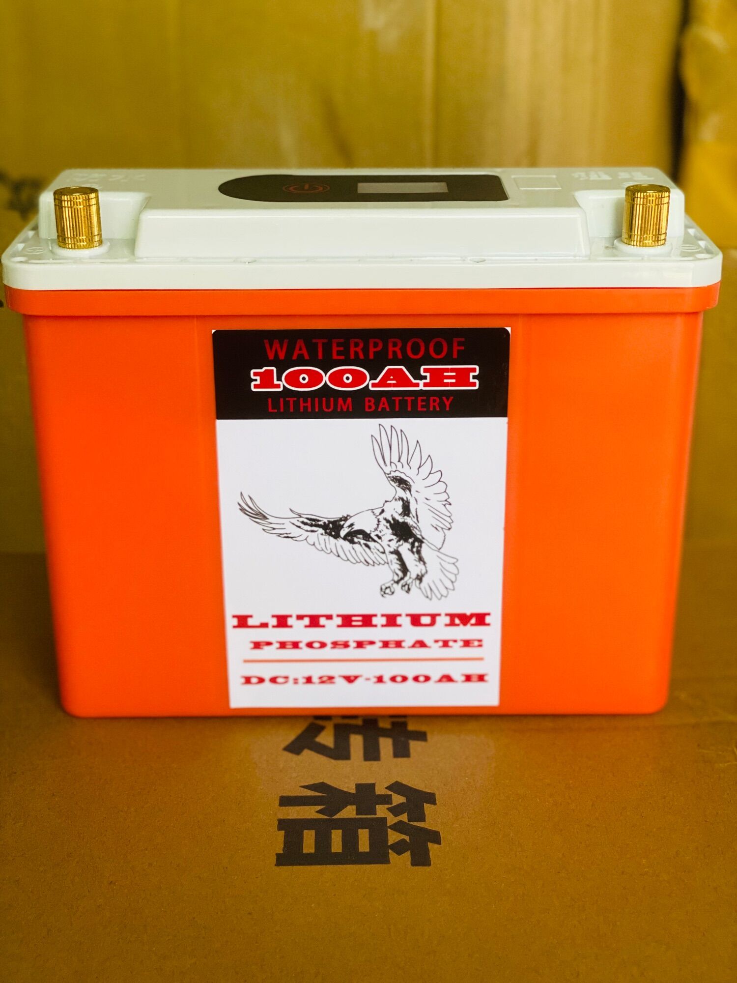 Bình pin lithium 100a chống nước và đầy đủ phụ kiện đi kèm