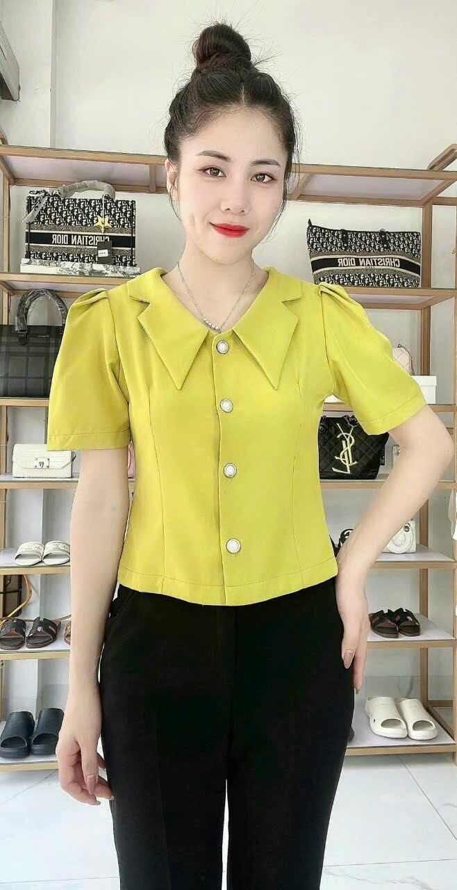 áo kiểu Nữ Công Sở đẹp