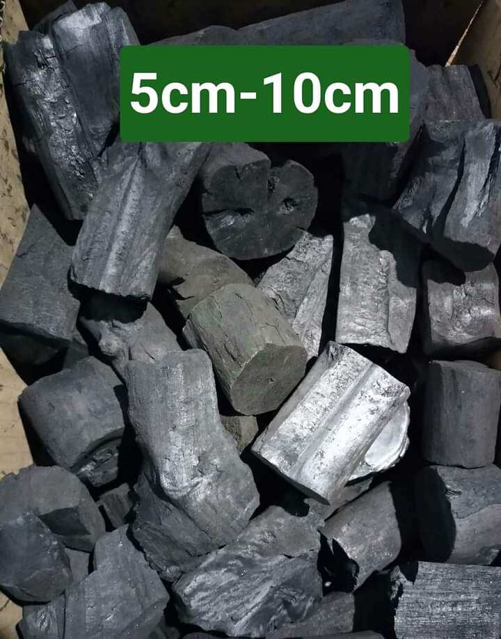 Than củi trồng lan đã qua xử lí 5kg đủ size