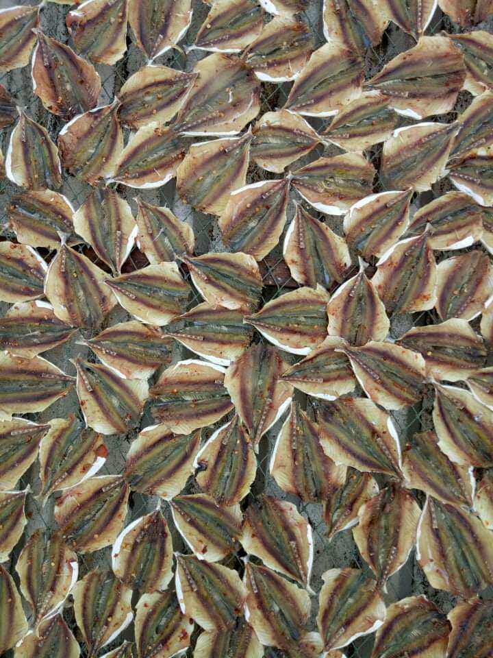 khô cá chỉ vàng