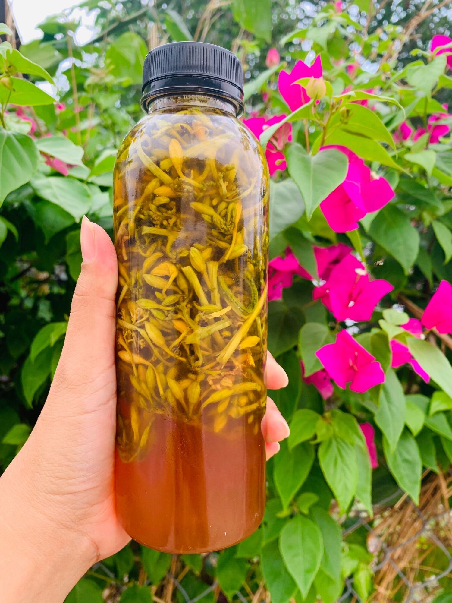 Hoa đu đủ đực tươi ngâm mật ong 500ml.