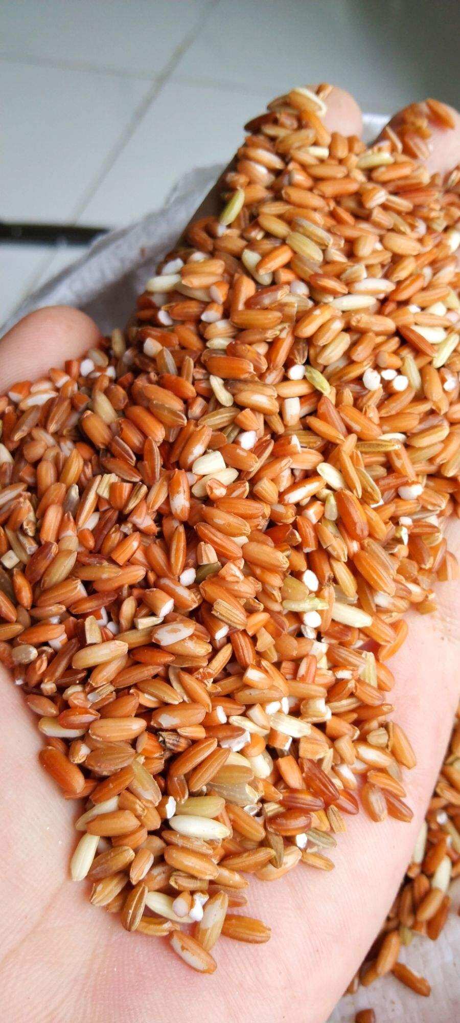 Gạo lứt đỏ dẻo Điện Biên