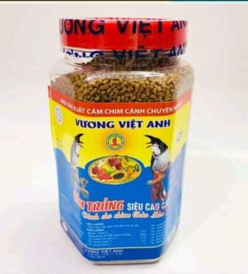 Cám chim chào mào Vương Việt Anh cao cấp
