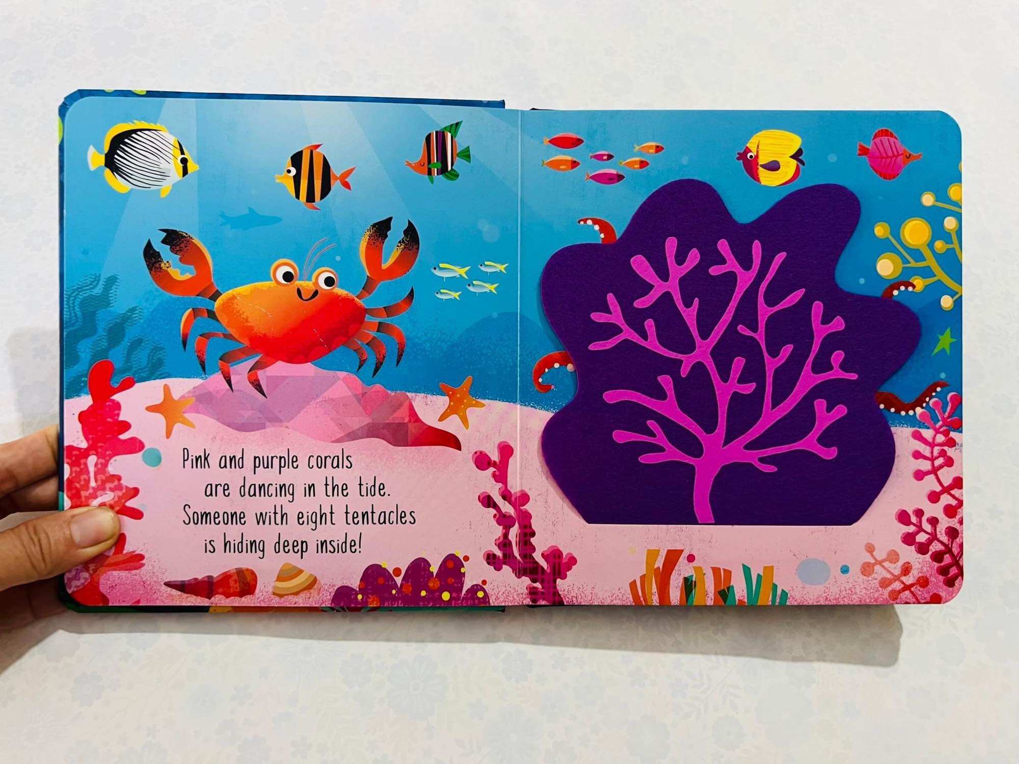 Hide and Seek Under the Sea