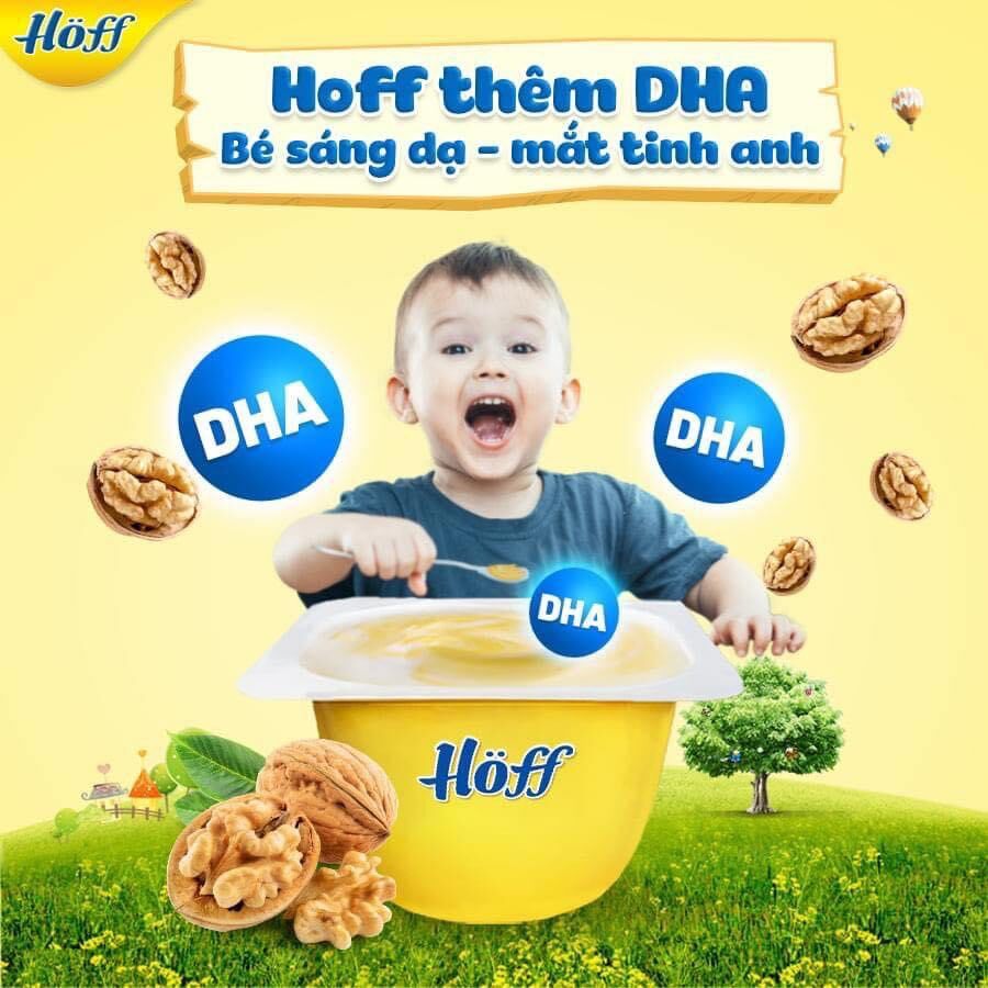 Thùng 48 hộp váng sữa Hoff đủ vị ( óc chó, sữa non, vani, hạt dẻ)