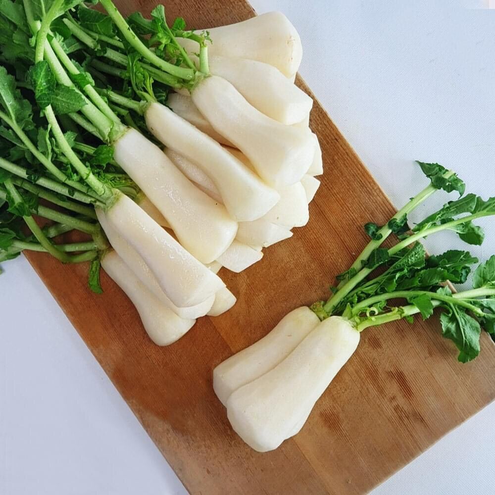 HẠT GIỐNG CỦ CẢI CHONGAK HÀN QUỐC
