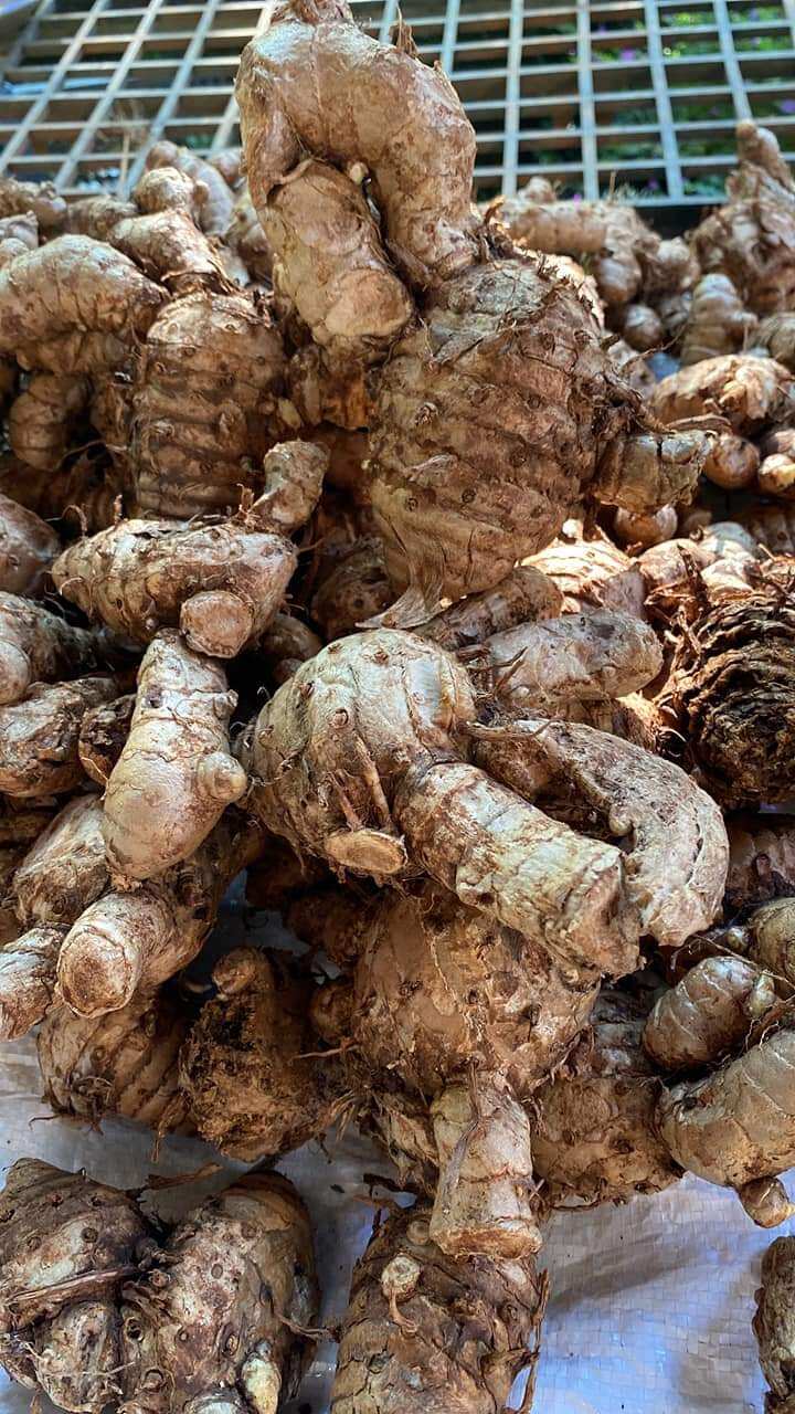 1kg nghệ đen củ làm giống