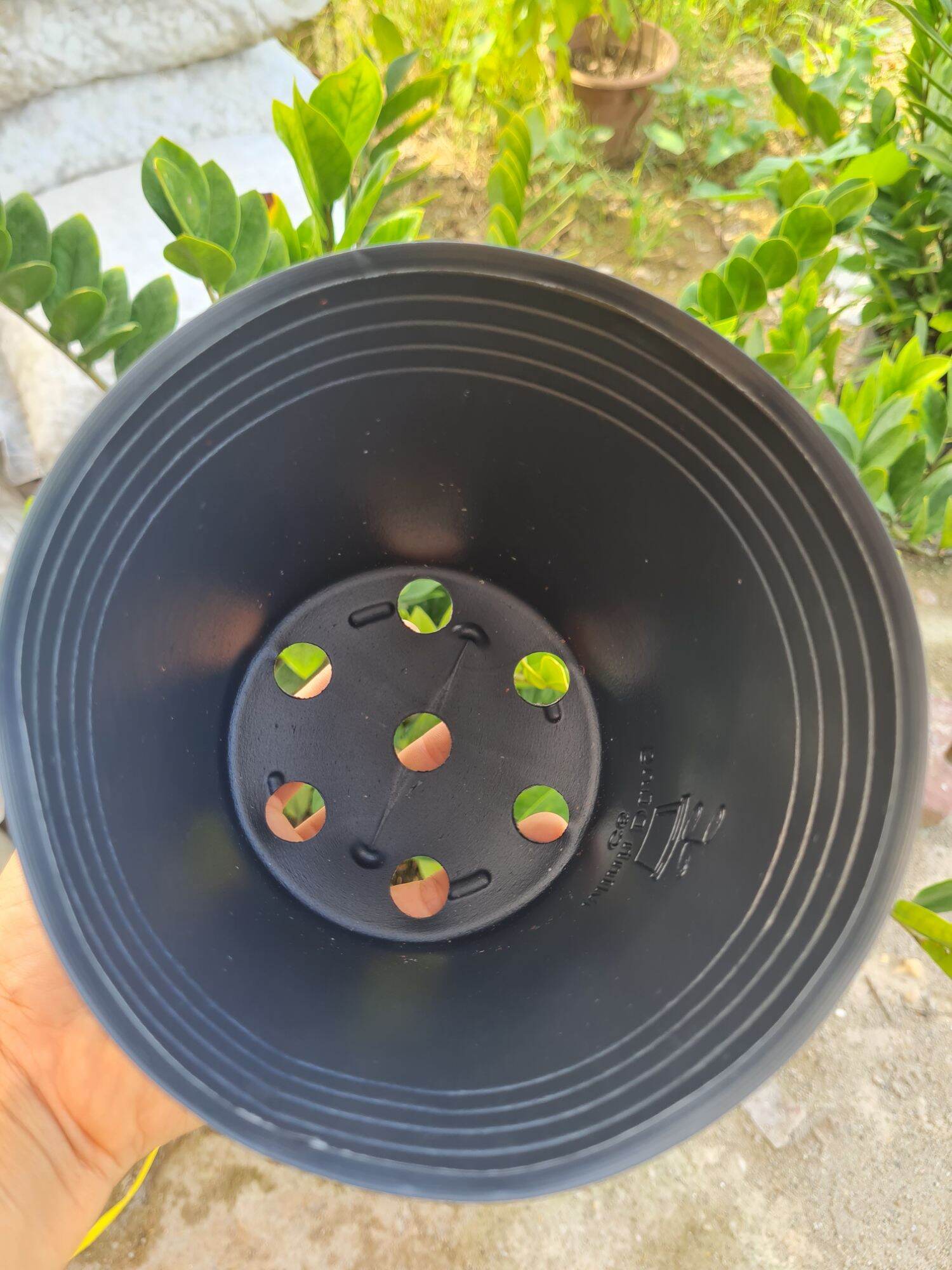 Bầu cứng ươm cây C6 kt 14x11cm