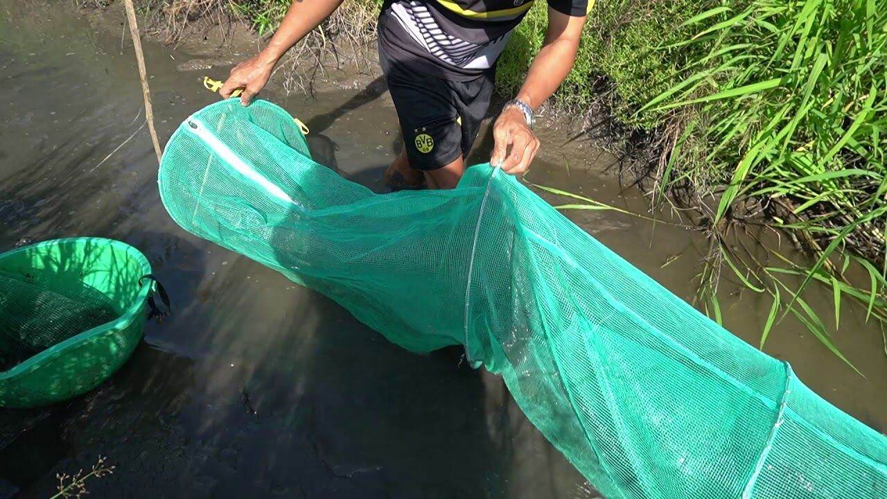 dớn đặt,  đánh bắt thủy  sản