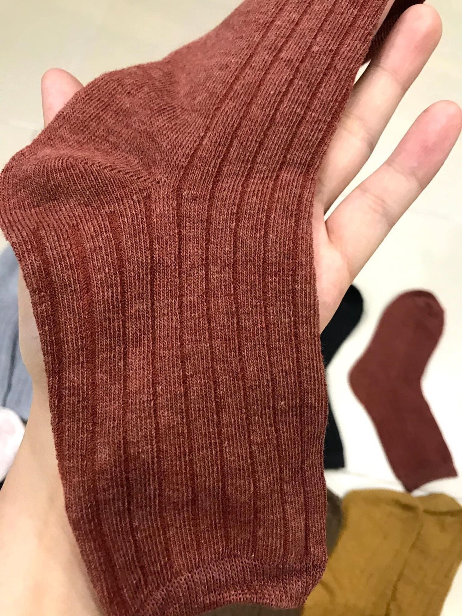 Set 10 đôi tất cao cổ style Hàn Quốc