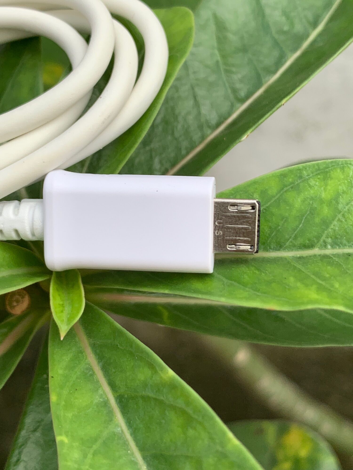 Cáp Micro hàng công ty(cáp sịn giá rẻ)