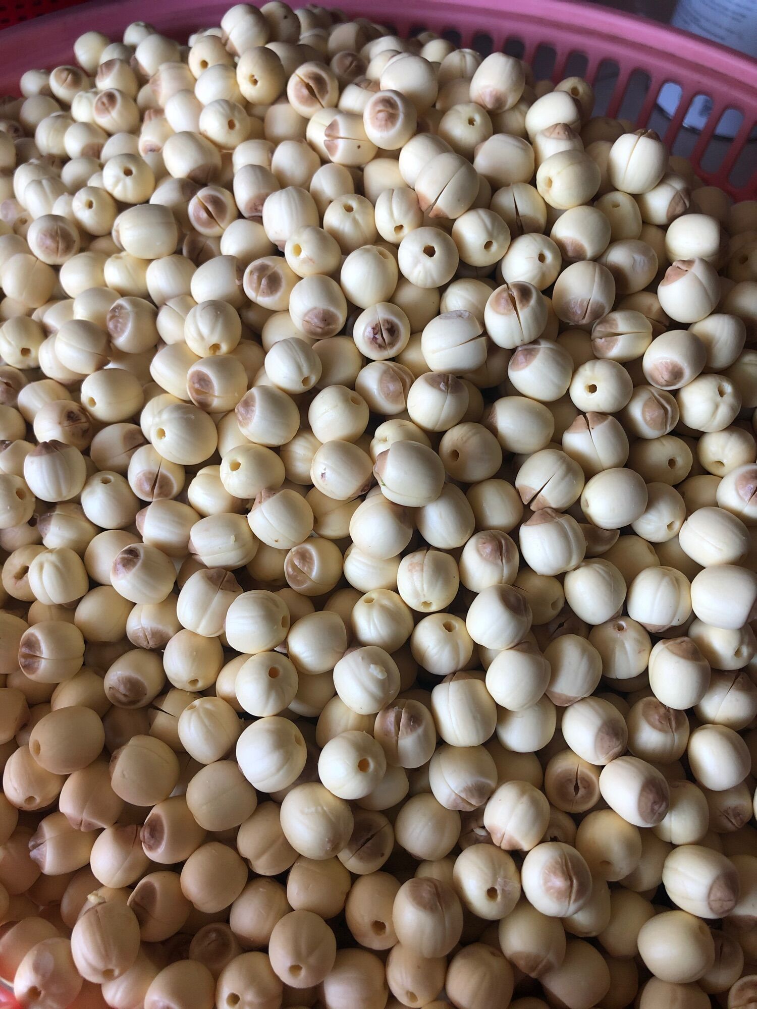 [1kg] Sen tươi sạch nhà làm - đặc sản xứ quảng