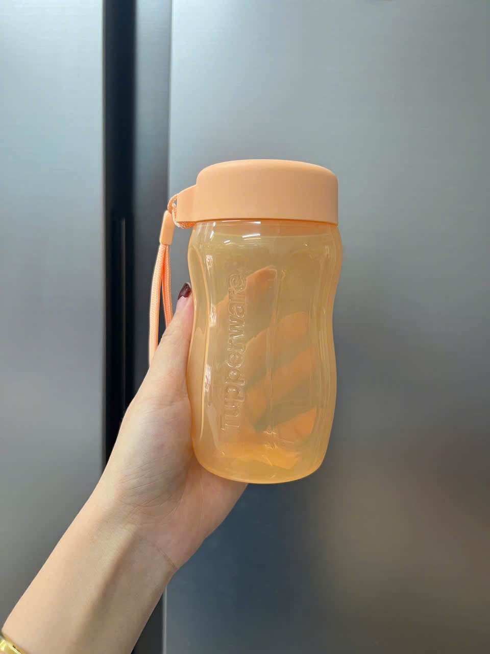 Bình Nước Eco Bottle Gen II 310ml, có dây bình