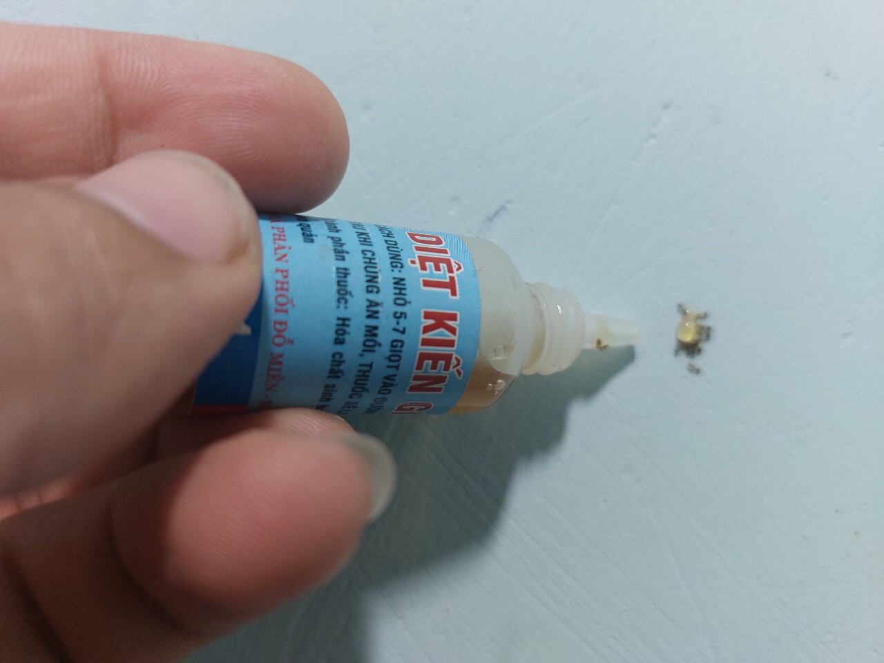 Bả kiến sinh học từ mật mía 🐜🐜🐜