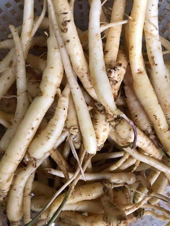 Đẳng sâm khô Sìn Hồ (0.5kg)