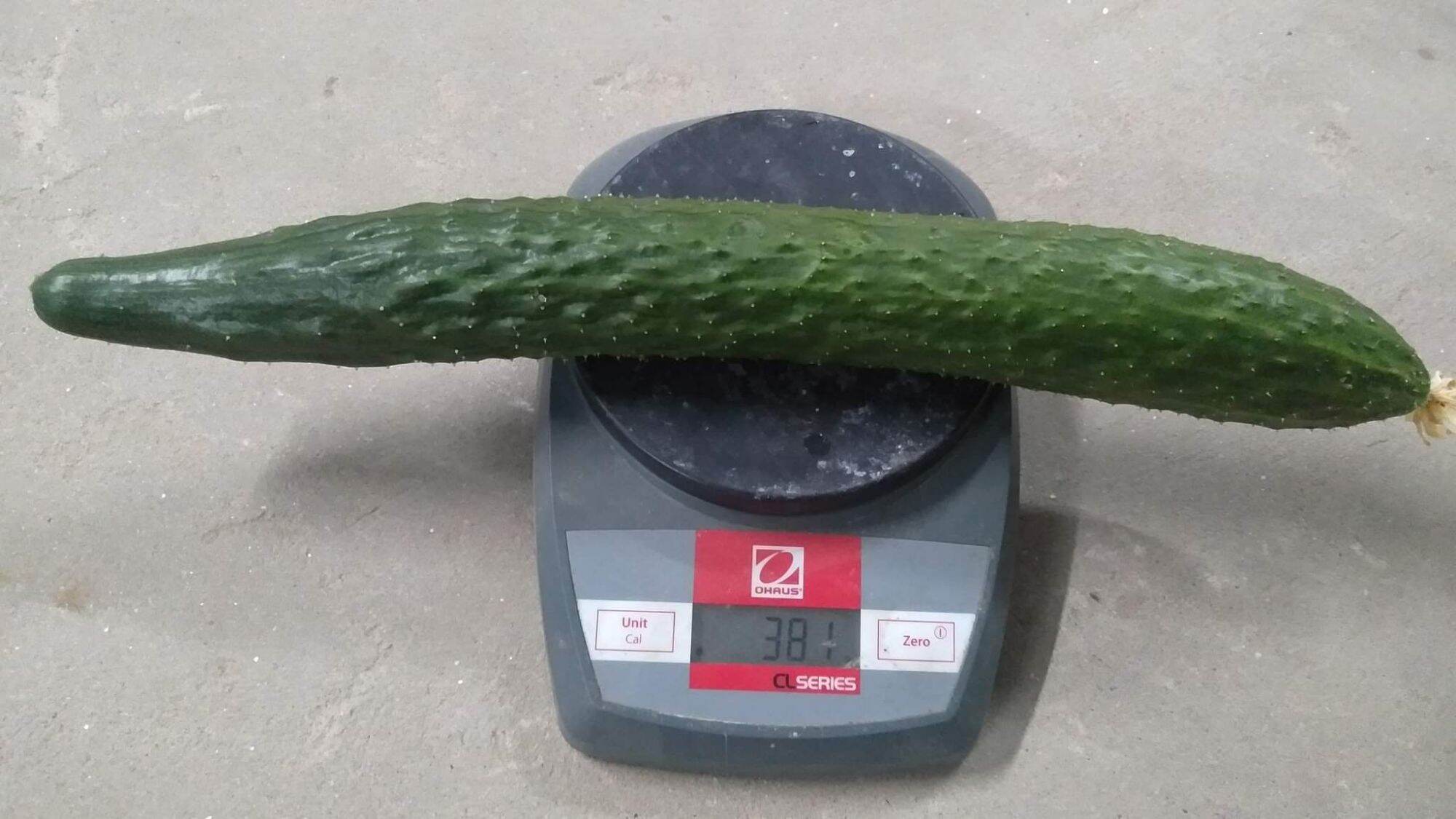 Dinh dưỡng thủy canh bột khô NoVa Melon sét 20