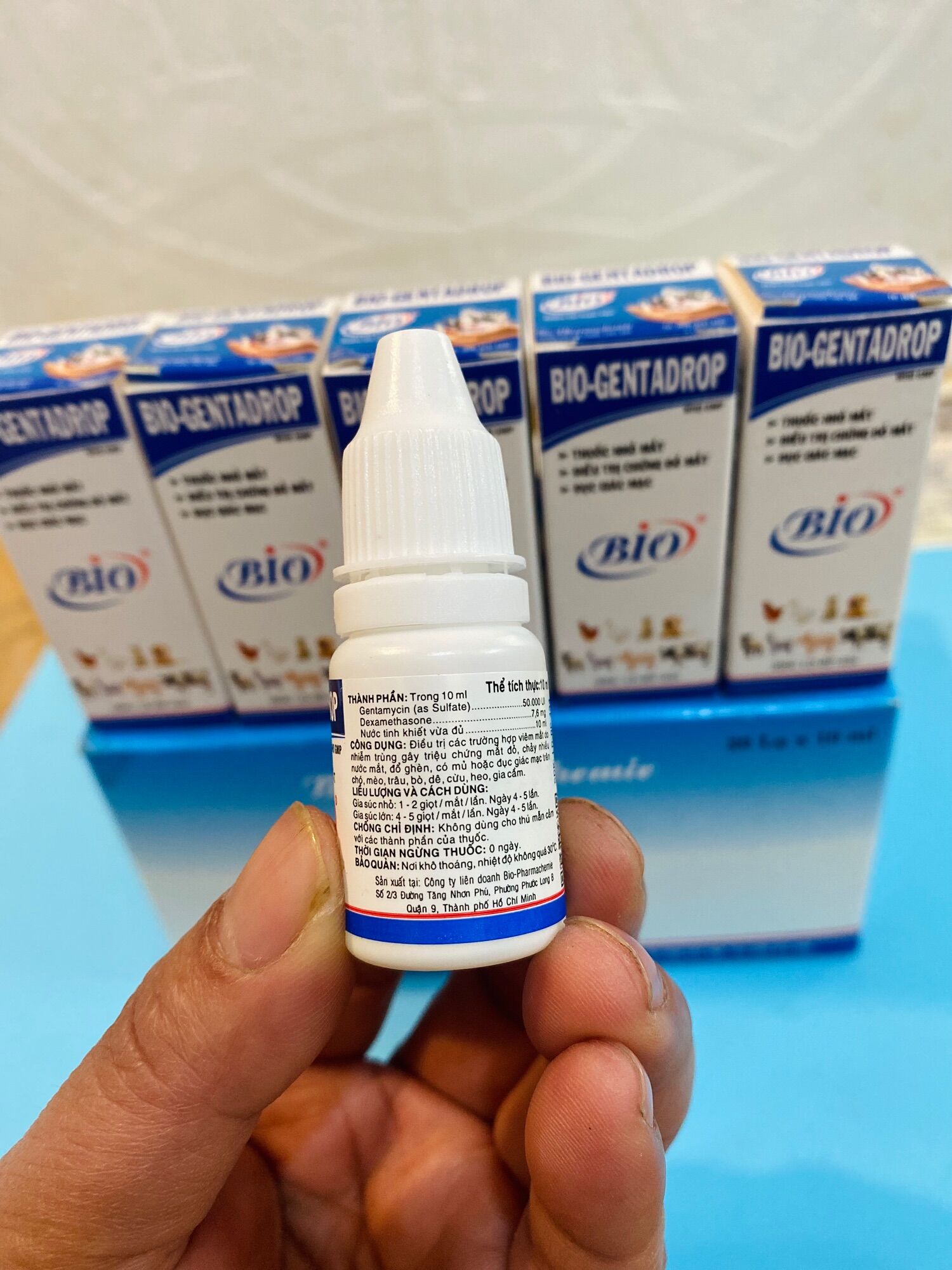 Bio Gentadrop(10ml) Gà đá, gà kiểng, thú cảnh có bọt mắt, sùi bọt, đau mắt dùng trong Thú Y