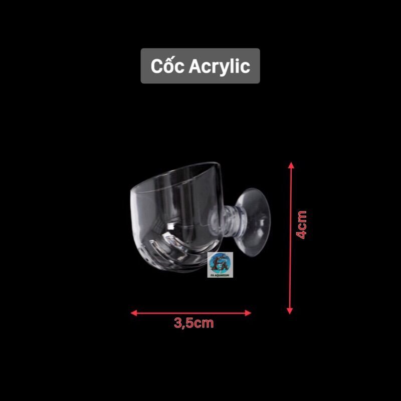 Cốc, phễu đựng giun trùn, rọ thức ăn cá