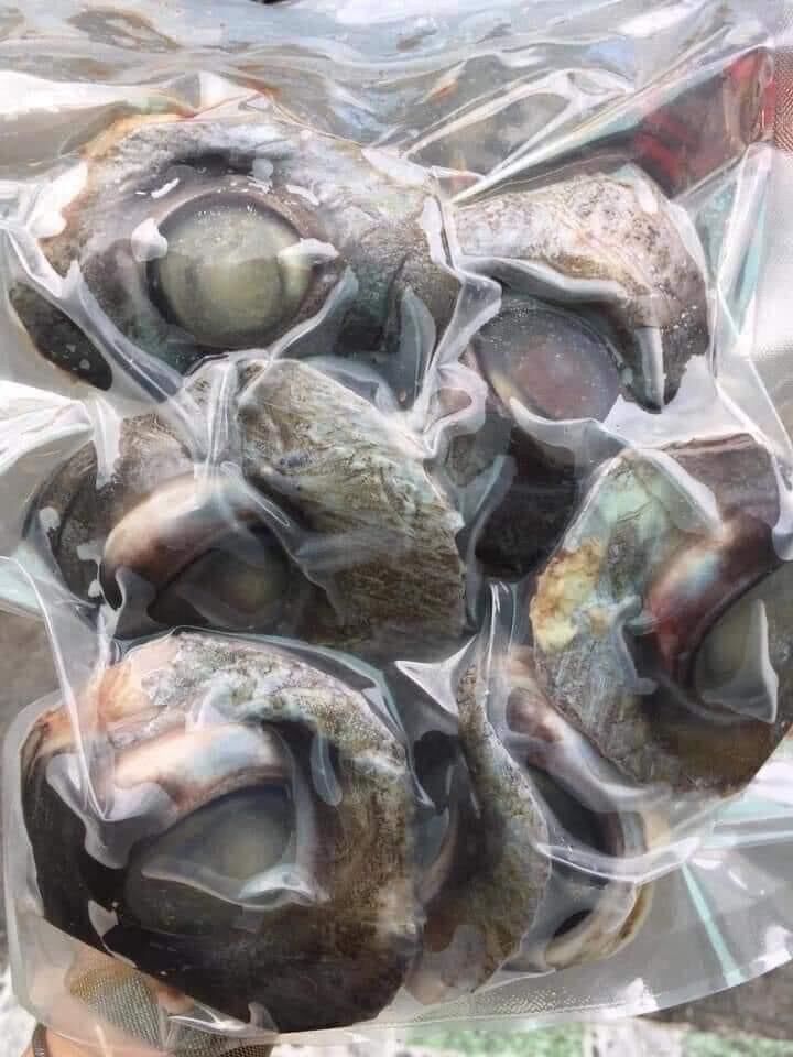 1kg Mắt cá ngừ đại dương (hoả tốc tphcm)