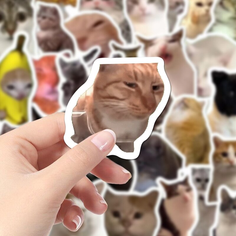 Bộ 100 Miếng Sticker Meme Mèo Siêu Hài Hước – Phù Hợp Trang Trí Sổ Tay Laptop Bình Nước và Điện Thoại DIY Sáng Tạo