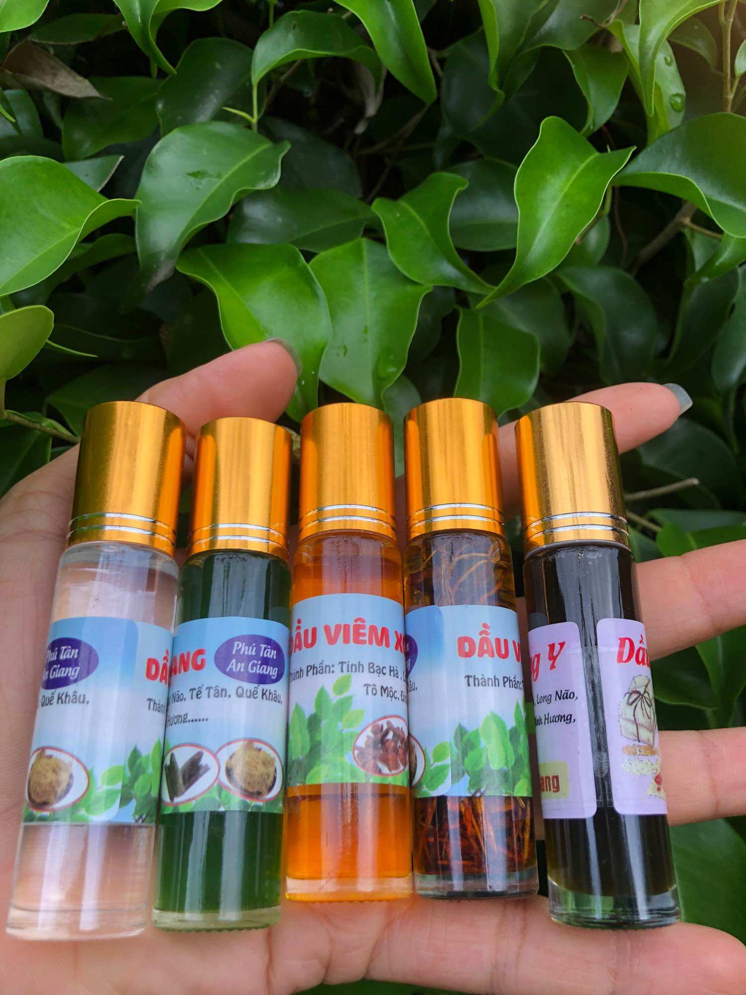 Dầu viêm xoang vàng 10ml