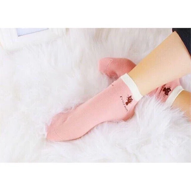 Tất miu miu