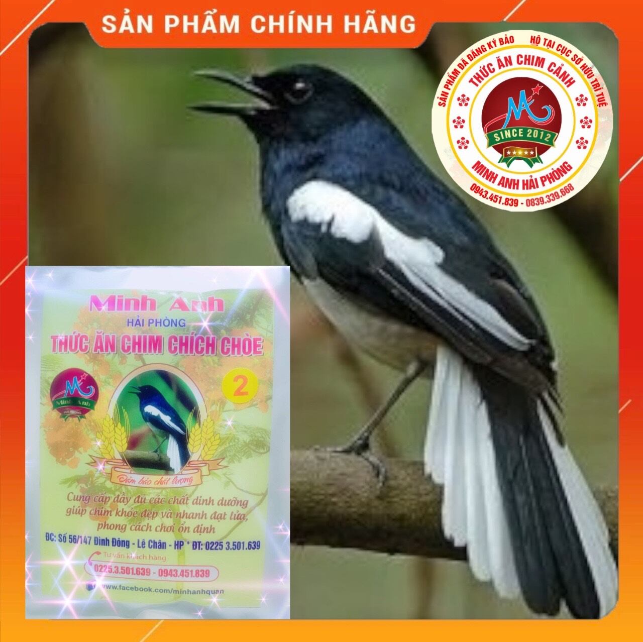 Cám chim chích chòe than, lửa, đất minh anh số 2