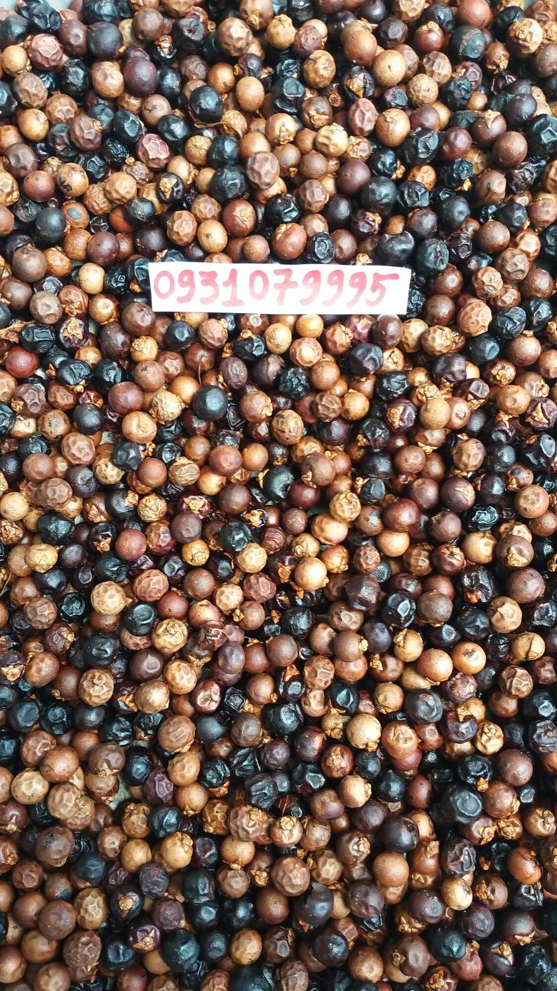 Trái đủng đỉnh phơi khô 1kg