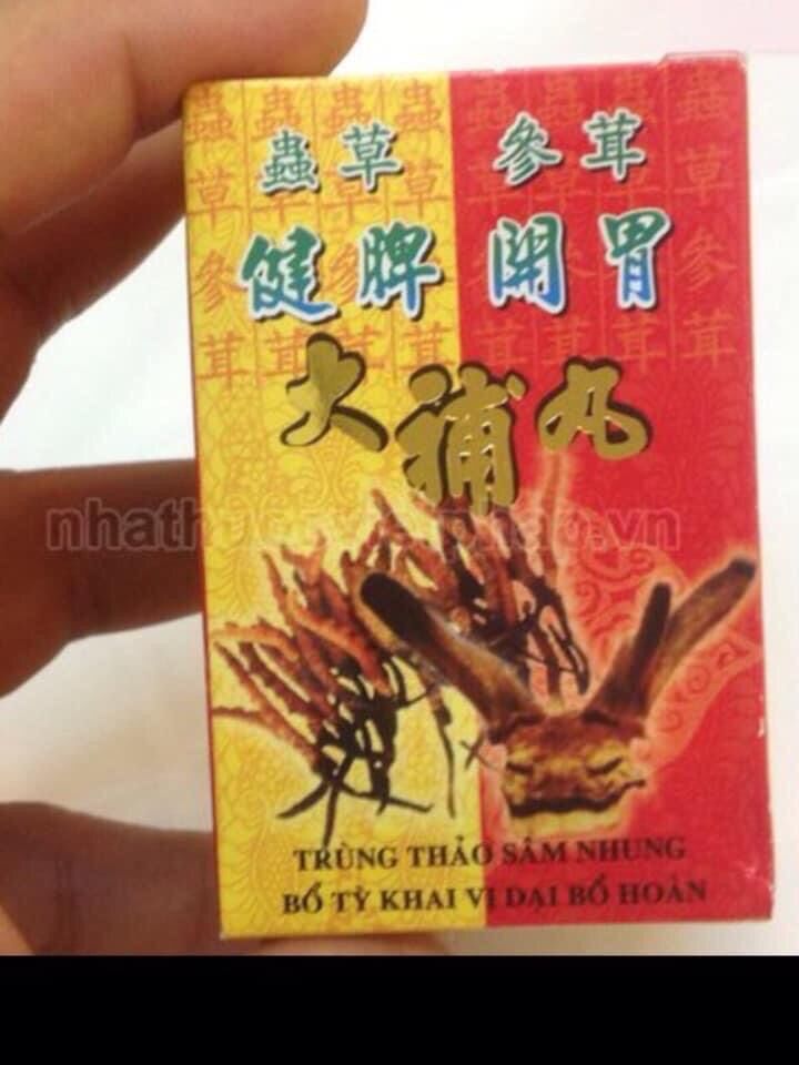 Đông y trùng thảo sâm nhung