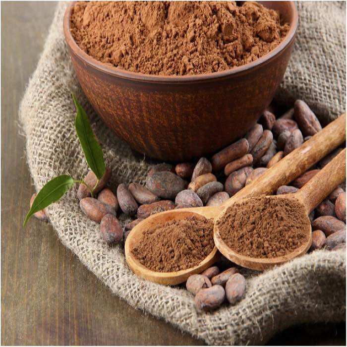 Bột Cacao Nguyên Chất Đắk Lắk - Lon 500G