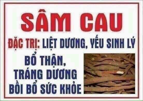 Sâm Cau Đỏ Rừng tây bắc 1Kg