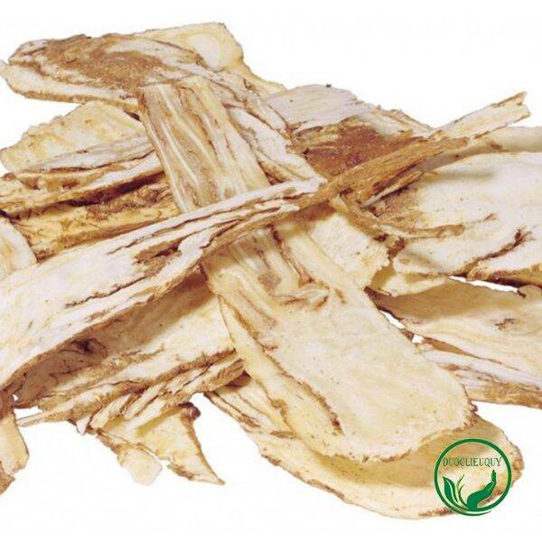 500g sâmm đương quy
