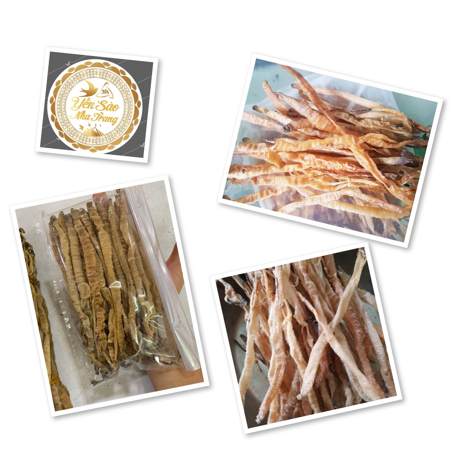 [Type 1] 100g Medium-Sized Dried Sea Cucumbers