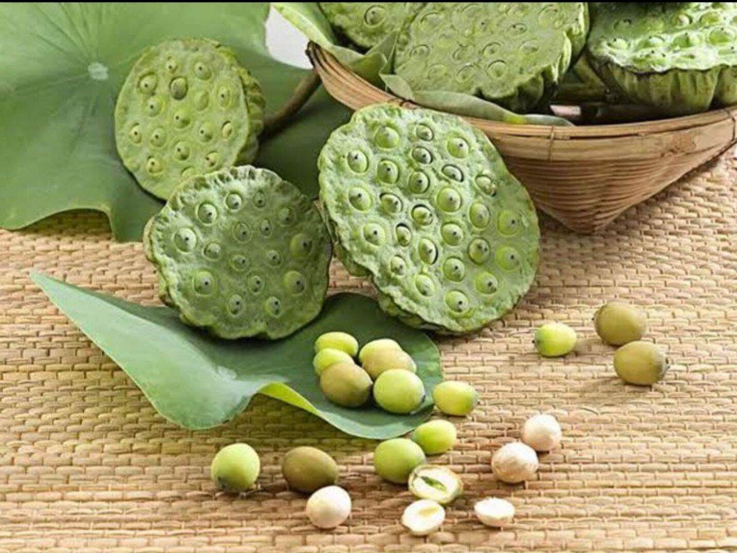 Hạt Sen Tươi Quảng Nam (1kg chưa bóc vỏ)