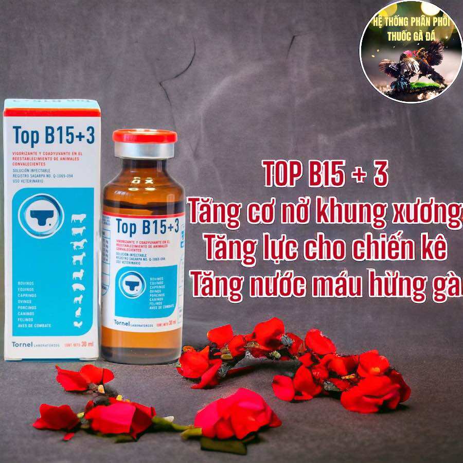 Thuốc gà đá top b15 + 3 tăng bo, tăng lực, tăng nước máu, phát triển khung xương cho gà đá