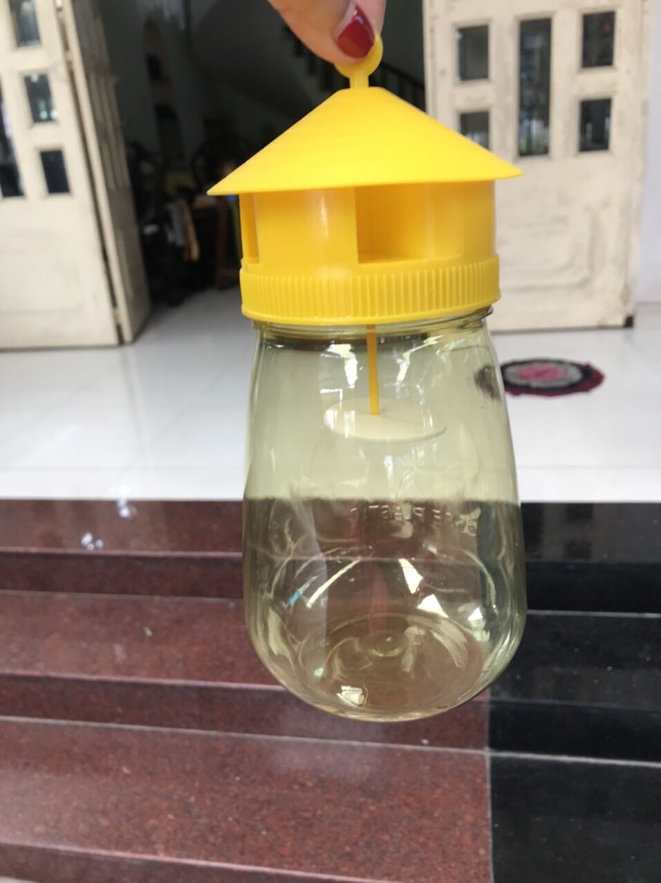 Bẫy Ruồi Vàng - Kèm Ống Dẫn Dụ
