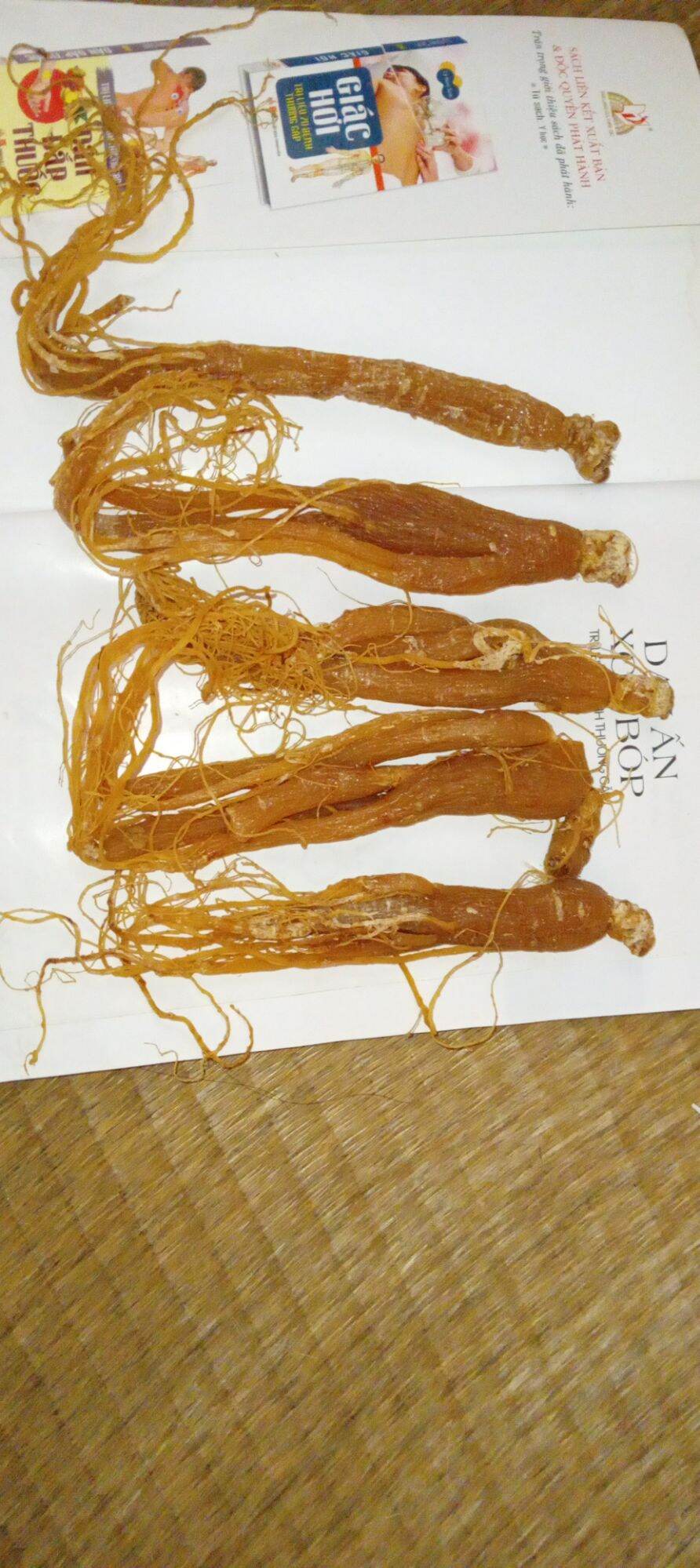 Nhân Sâm khô Hàn Quốc